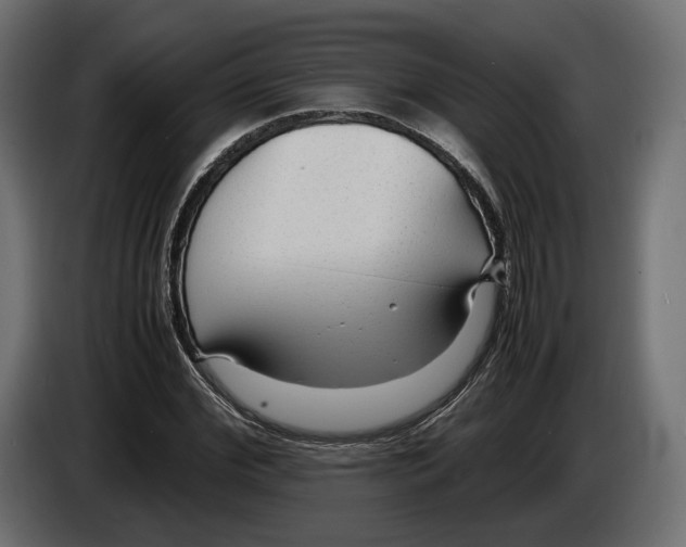 X0000083000972200703020901