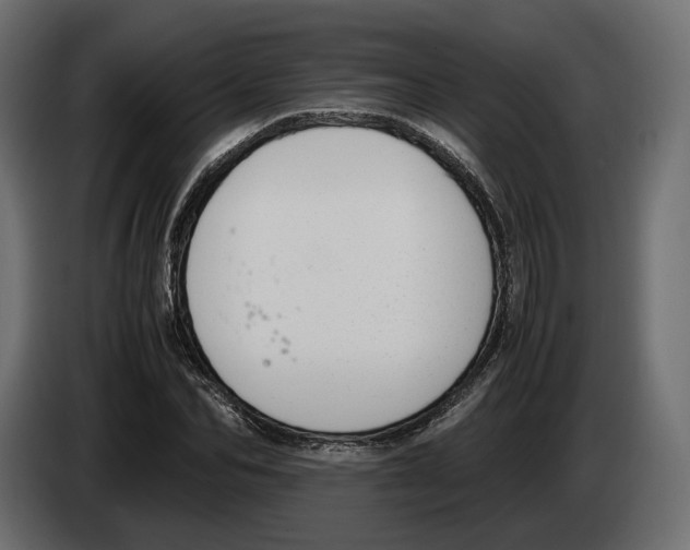 X0000083000974200703020901