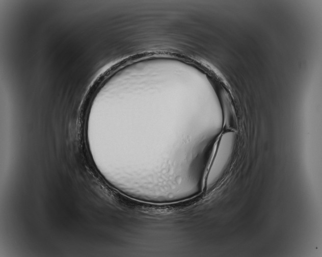 X0000083000975200703020901