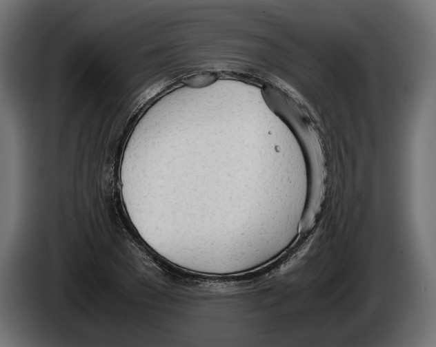 X0000083000977200703020901