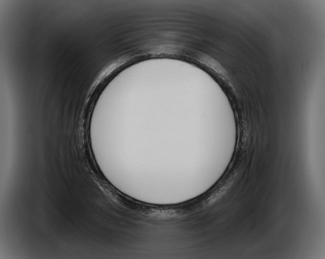 X0000083000978200703020901