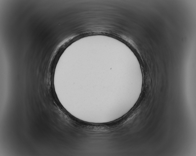 X0000083000979200703020901