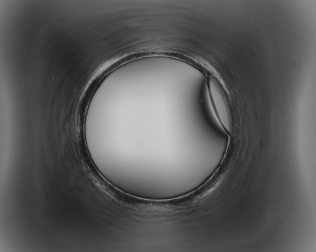 X0000083000981200703020901