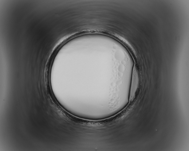 X0000083000983200703020901