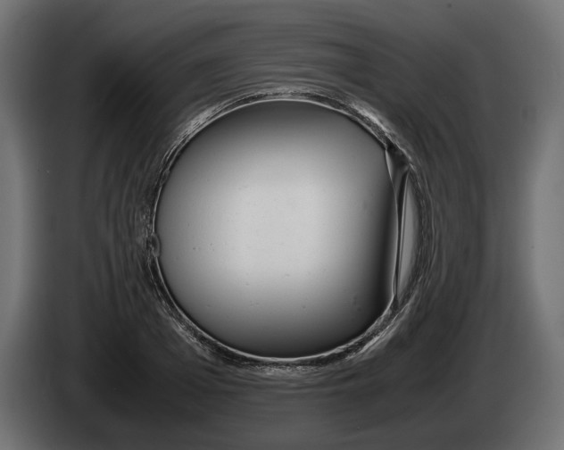 X0000083000985200703020901