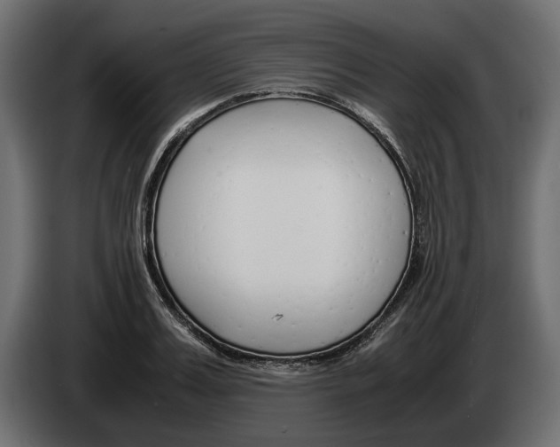 X0000083000987200703020901