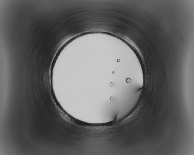 X0000083000988200703020901