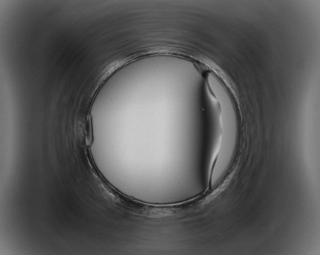 X0000083000993200703020901