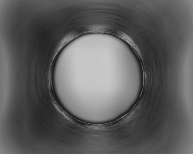 X0000083000994200703020901