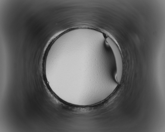 X0000083000995200703020901