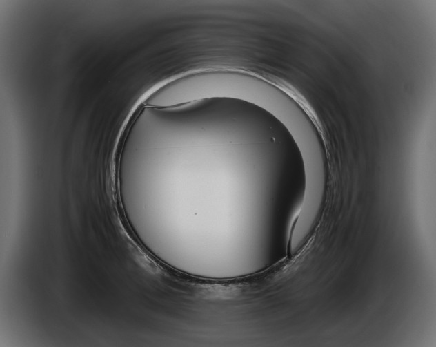 X0000083000996200703020901