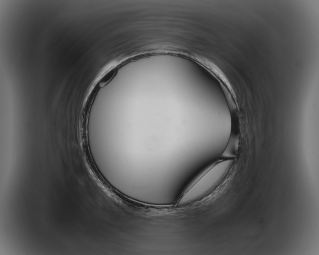 X0000083000997200703020901