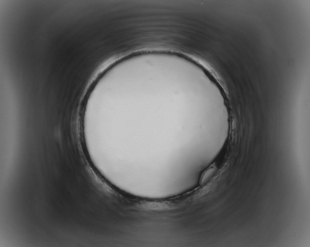 X0000083000998200703020901