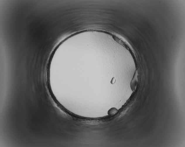 X0000083000999200703020901