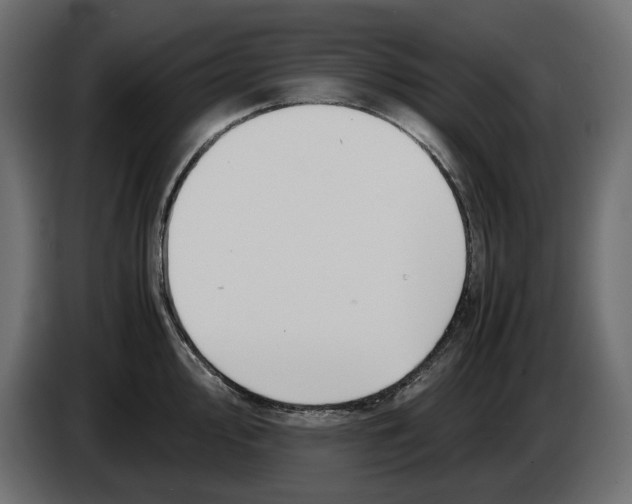 X0000083001000200703020901