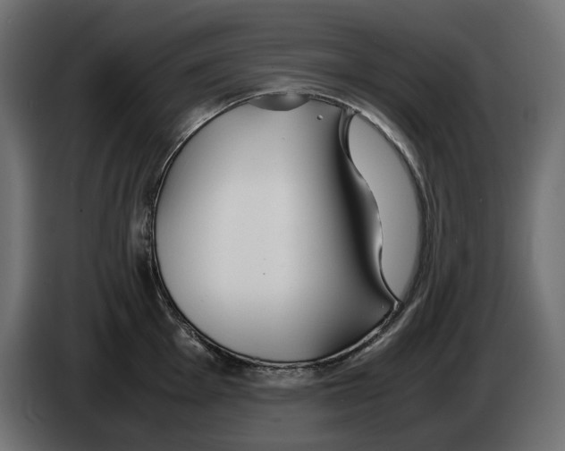 X0000083001001200703020901