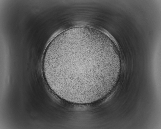 X0000083001002200703020901