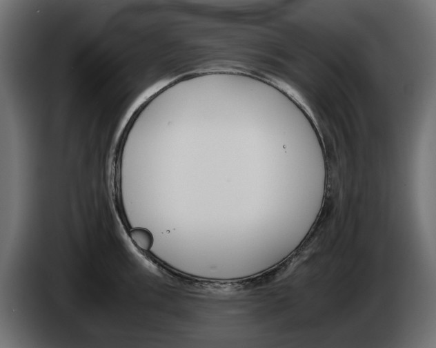 X0000083001003200703020901