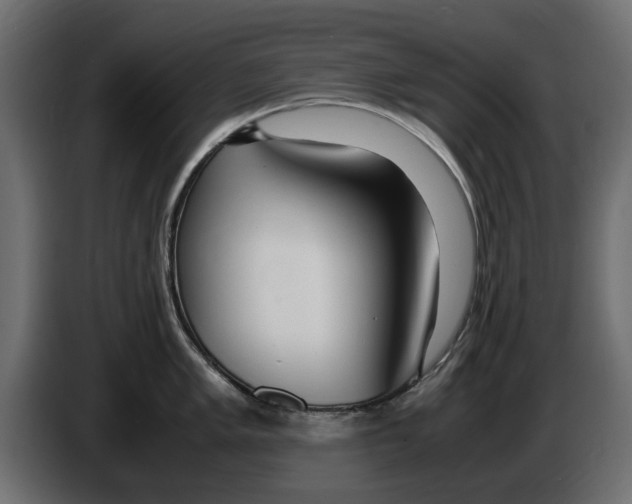 X0000083001005200703020901