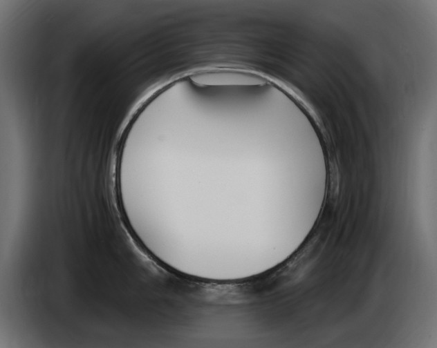 X0000083001006200703020901