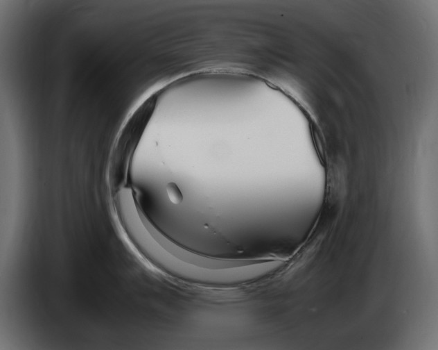 X0000083001007200703020901