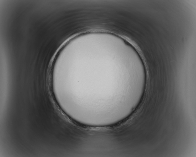 X0000083001008200703020901