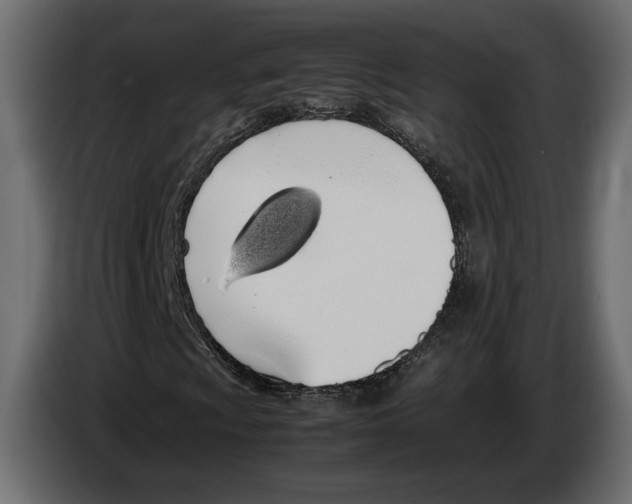 X0000083001009200703020859