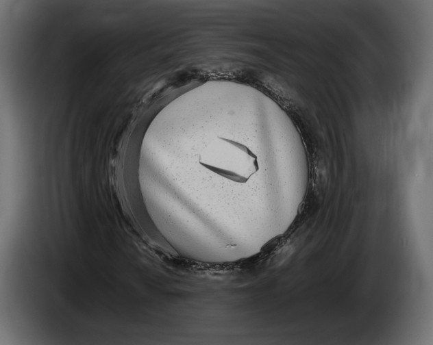 X0000083001010200703020859