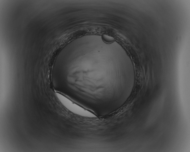 X0000083001013200703020900