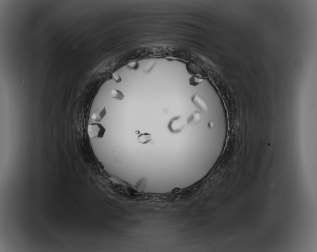 X0000083001014200703020900