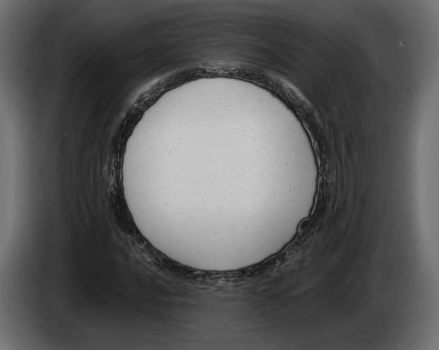 X0000083001016200703020900