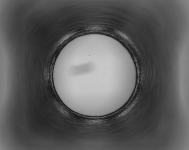 X0000083001017200703020900