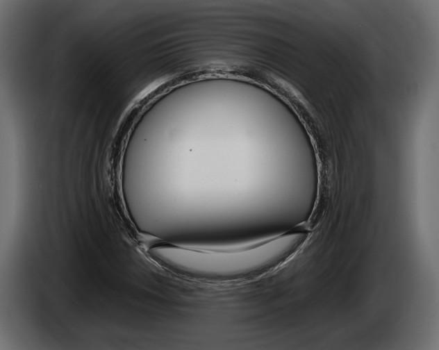 X0000083001018200703020900