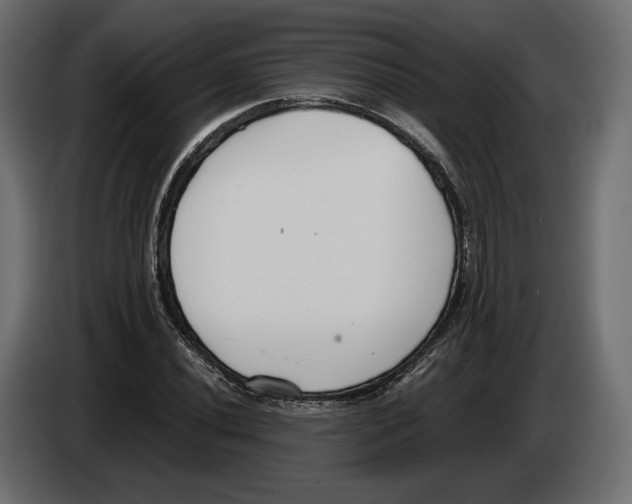 X0000083001020200703020900