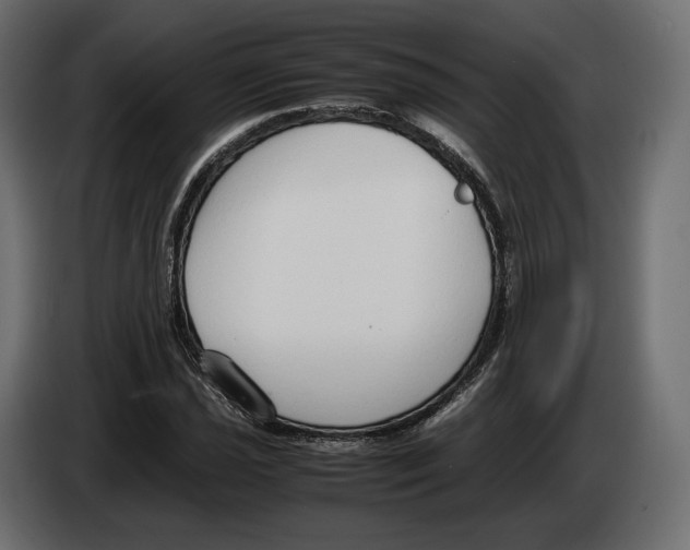 X0000083001021200703020900