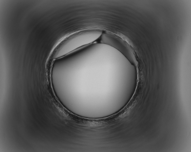 X0000083001022200703020900