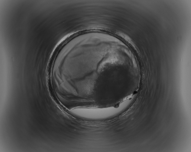 X0000083001024200703020900