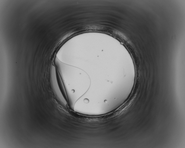 X0000083001025200703020900