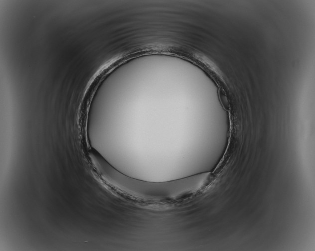 X0000083001026200703020900