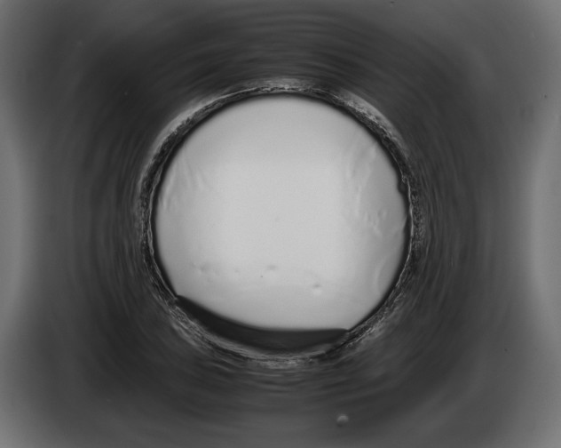 X0000083001027200703020900