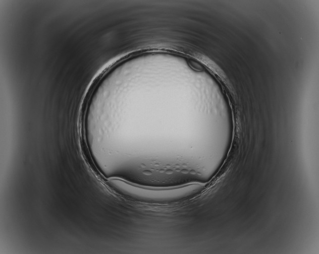 X0000083001028200703020900