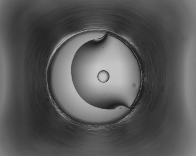 X0000083001030200703020900