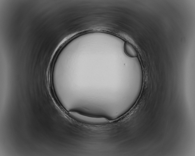 X0000083001032200703020900