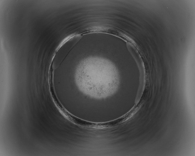 X0000083001034200703020900