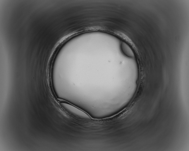 X0000083001035200703020900