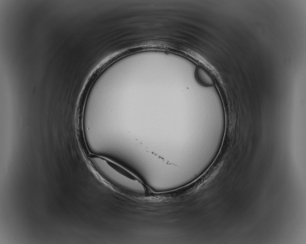 X0000083001037200703020900