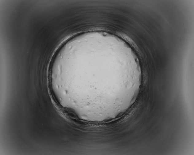 X0000083001039200703020900