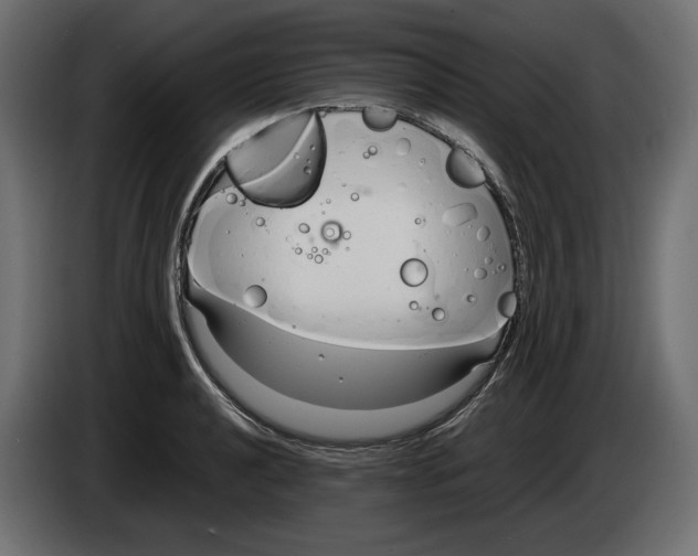 X0000083001040200703020900