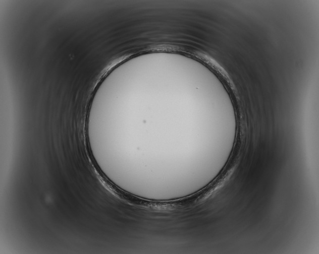 X0000083001041200703020900