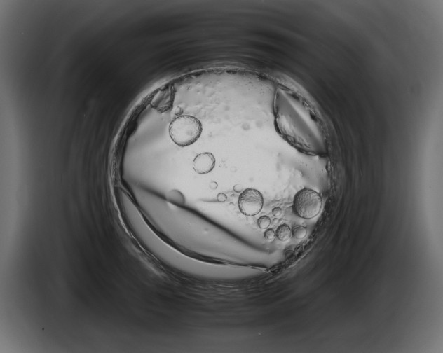 X0000083001043200703020900